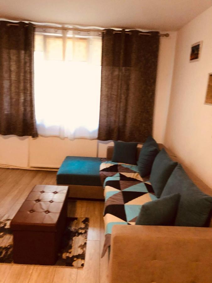Mountain Loft Apartment Piatra Neamt